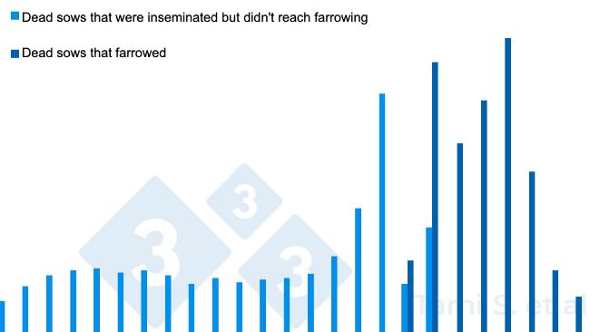 Figure 1. Relative frequencies (%) of dead sows, before or after farrowing, out of a total of 7,778 inseminated sows plus 7,745 farrowed sows. Source: Tami S. et al. 2017.
