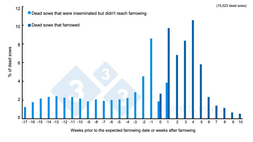 Figure 1. Relative frequencies (%) of dead sows, before or after farrowing, out of a total of 7,778 inseminated sows plus 7,745 farrowed sows. Source: Tami S. et al. 2017.
