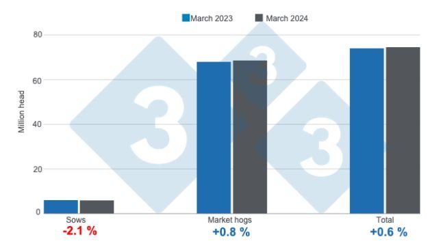 U.S. hog inventories as of March 1, 2024, annual variations. Prepared by 333 Latin America with data from USDA - NASS. 