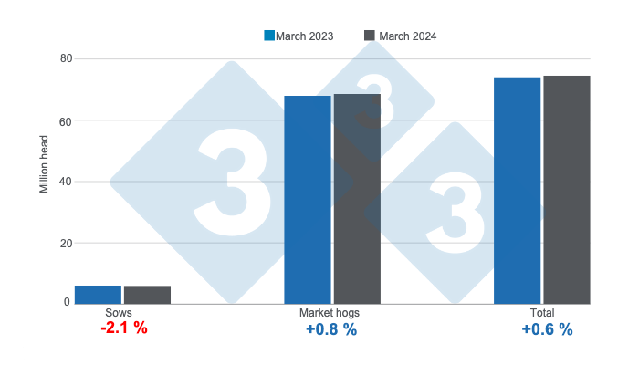 U.S. hog inventories as of March 1, 2024, annual variations. Prepared by 333 Latin America with data from USDA - NASS.&nbsp;
