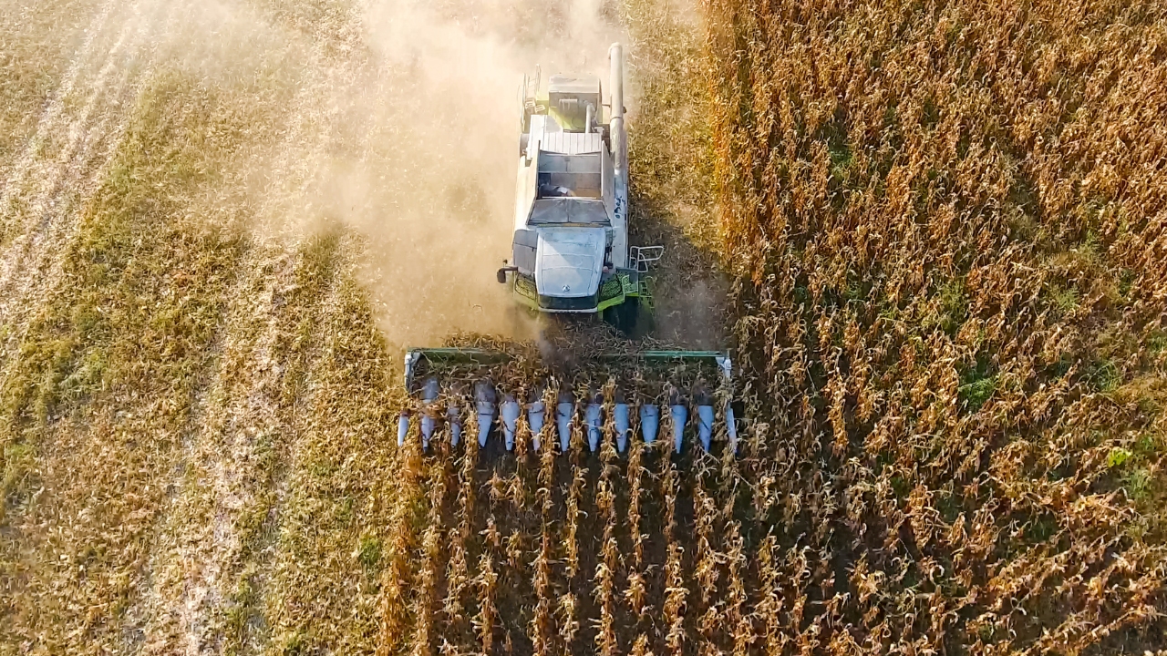 How Did The Start Of The Soybean And Corn Harvests Go In Argentina 