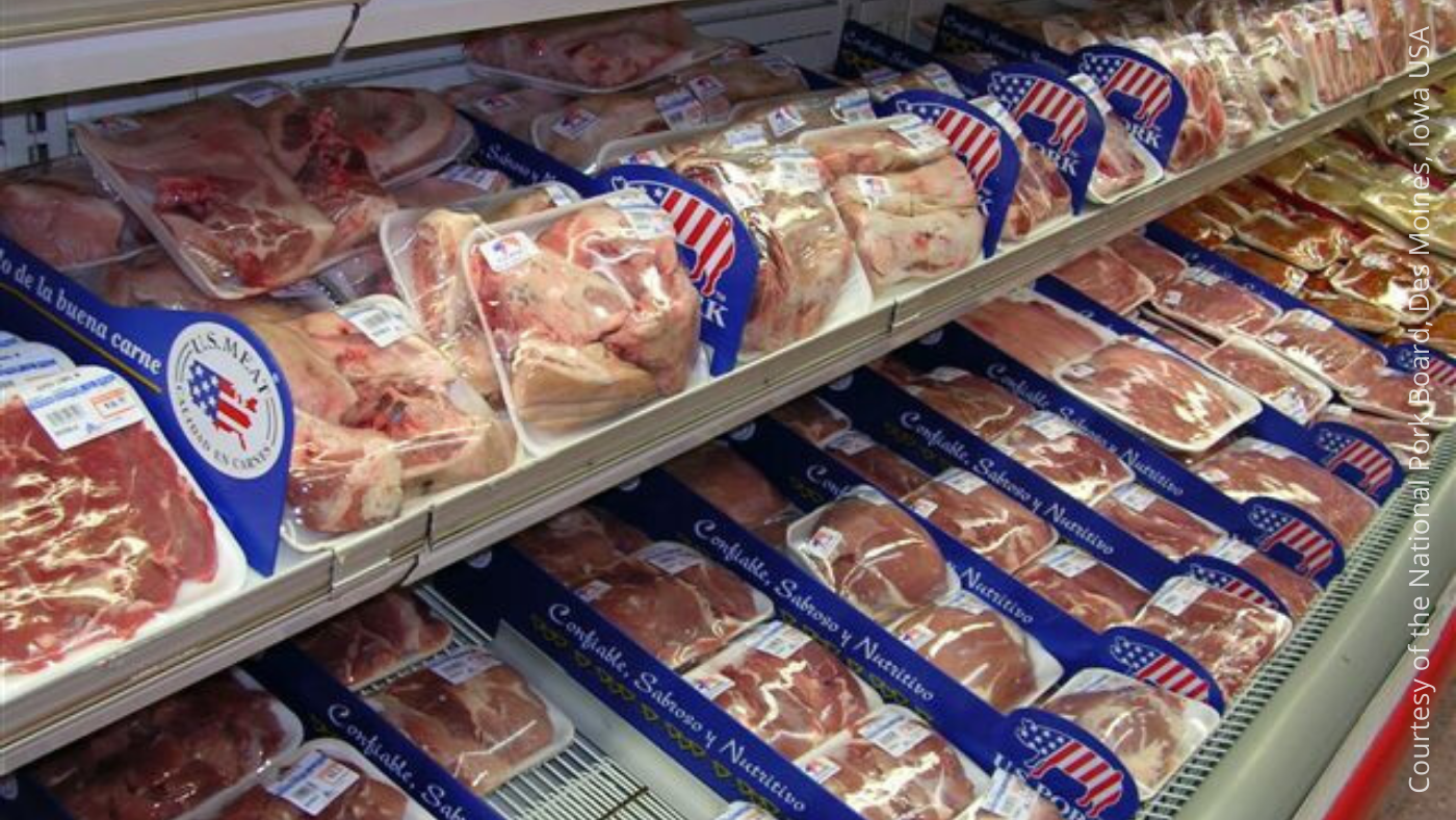 U.s. Pork Exports Remain Robust In February - Swine News - Pig333, Pig 