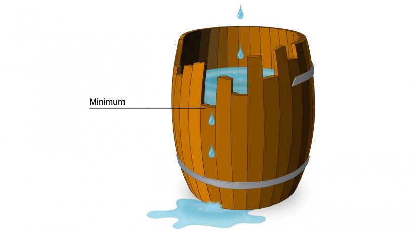 Figure 1. Graphical example of the meaning of a limiting amino acid based on Liebig&#39;s law. The protein is the barrel and the amino acids are the individual staves that make up the barrel. The capacity of the barrel is limited by the shortest stave just as the growth of the pig is limited by the least available amino acid.
