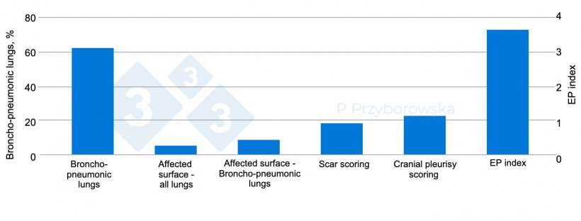 Figure 3. The lung examination results are presented in graphical form.
