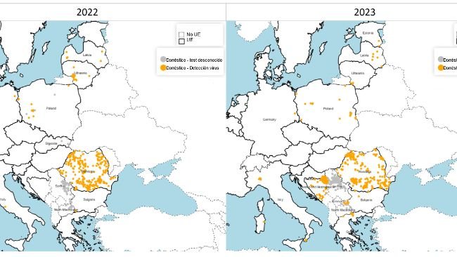 Spatial distribution of ASF outbreaks among confirmed domestic pigs in 2022 (left) and 2023 (right). Source: ADIS, accessed February 1, 2024. © EuroGeographics for administrative boundaries.