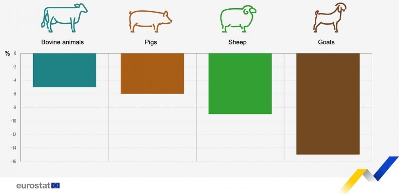 Change in livestock populations, selected period 2023 compared with 2013. Source: Eurostat.
