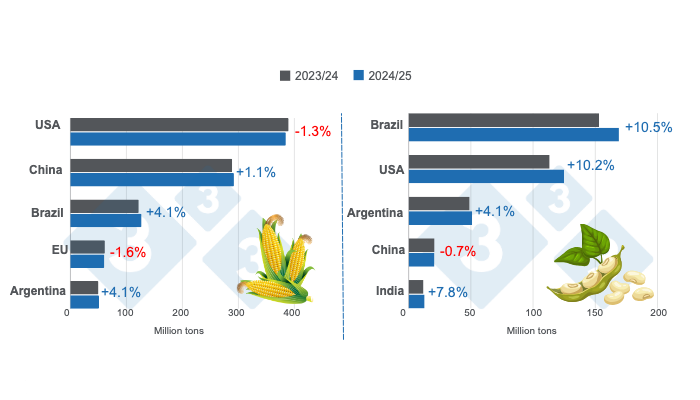 Crop projections for the main world corn and soybean producers - 2024/25 season versus 2023/24 season - last update: August 12, 2024. Prepared by 333 Latin America with data from FAS - USDA.
