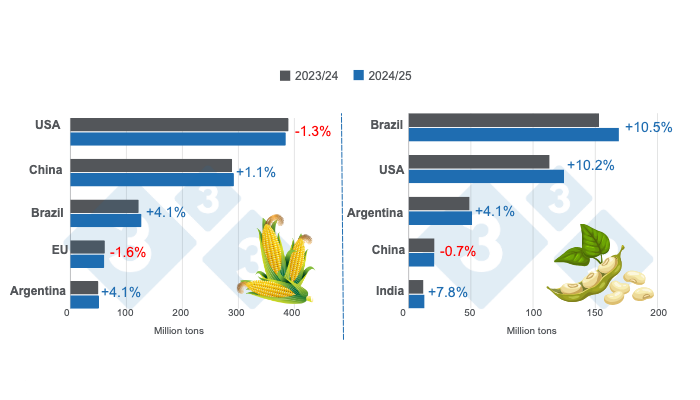 Crop projections for the main world corn and soybean producers - 2024/25 season versus 2023/24 season - last update: August 12, 2024. Prepared by 333 Latin America with data from FAS - USDA.
