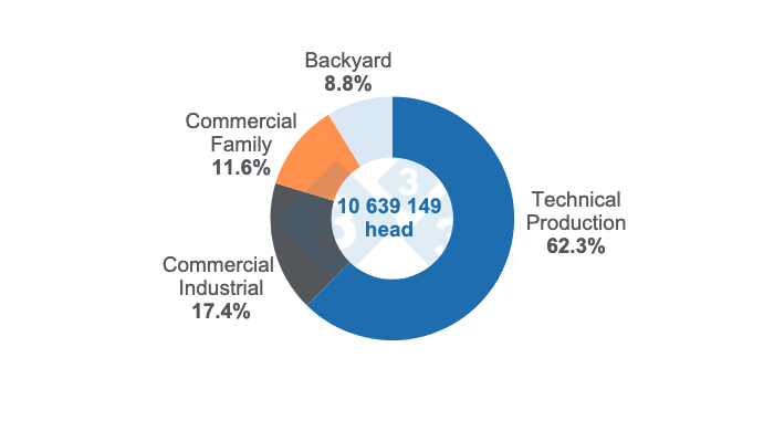 Swine inventory 2023 breakdown. Prepared by 333 Latin America with data from the Colombian Agricultural Institute (ICA).
