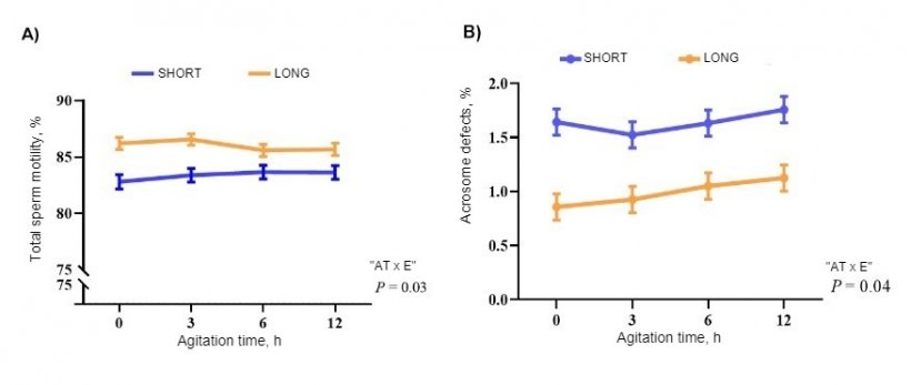 Figure 1. Effect of the interaction between agitation time (AT; 0, 3, 6, and 12 hours) and the extender (E) (long-term, LONG, and short-term, SHORT) on total sperm motility (A) and acrosome defects (B) in porcine seminal doses (n=20 boars). Values are expressed as mean &plusmn; SE (standard error).
