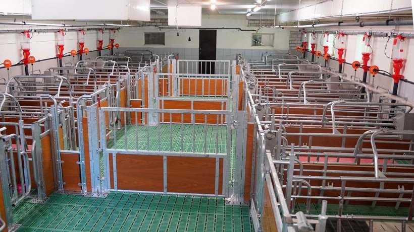 The self-catching function makes it possible to&nbsp;simply lock the animals in their pens during&nbsp;group&nbsp;farrowing, ensuring safe access to the pen and&nbsp;all important sub-areas.
