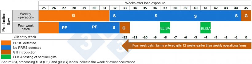 Figure 2. Gilt entry comparison between breeding herds operation on a weekly compared with a four-week batch system.