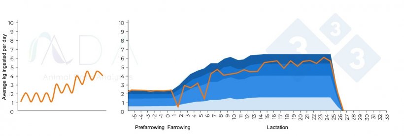 Figure 2. Theoretical altered pattern associated with postpartum mastitis and results in practice.
