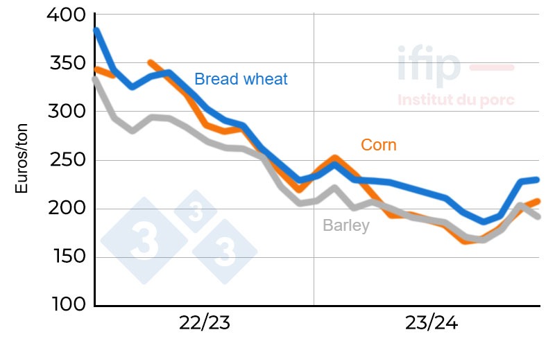 Wheat and corn prices in France. At origin Eure-et-Loir; Source: Ifip according to La D&eacute;p&ecirc;che.
