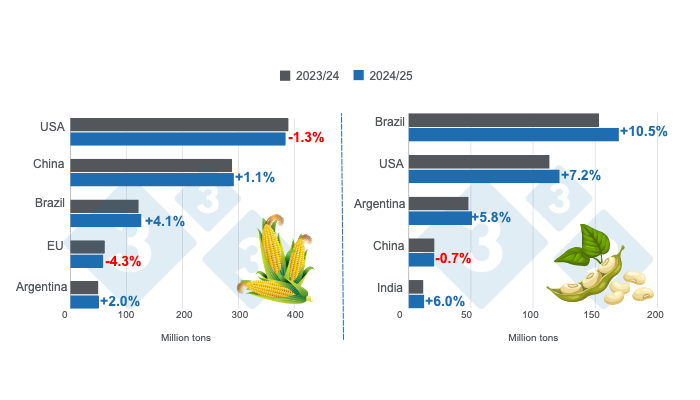 Crop projections for the main world corn and soybean producers - 2024/25 season versus 2023/24 season - last update: November 8, 2024. Prepared by 333 Latin America with data from FAS - USDA. 