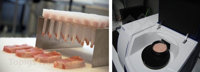 Figure&nbsp;8. Determination of intramuscular fat content by NIRS and drip loss assessment.
