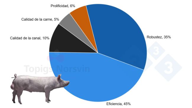 Figure&nbsp;3. Selection objectives for TN Tempo.
