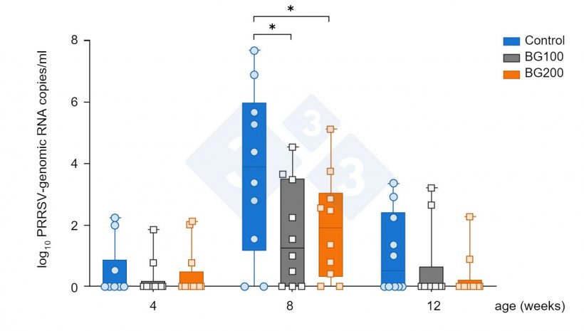 Figure 6. Early reduction of PRRS MLV viremia by beta-glucan supplementation&nbsp;(Chuaychu et al., 2024). Sera from experimental pigs of each group (n=10) were randomly selected and subjected to extraction of viral genomic RNA. PRRSVgenomic RNA was quantified by qRT-PCR. The data represents mean (&plusmn;SD) of PRRSV-genomic RNA. The asterisk (*) indicates significant differences (p&lt;0.05) between groups.
