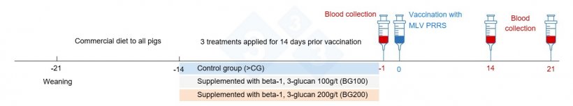 Figure 3. Trial design summary.