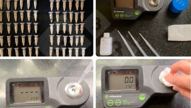 Photo 1. Use of digital refractometers for indirect measurement of immunoglobulin concentration.
