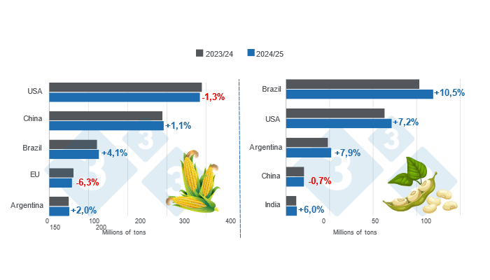 Chart 1. Harvest projection for the main global corn and soybean producers - 2024/25 campaign versus 2023/24 cycle - last update: December 10, 2024. Prepared by the Department of Economics and Market Intelligence with data from FAS - USDA.
