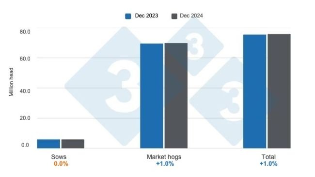 Graph 1: U.S. Swine Inventory as of December 1, 2024, annual variations. Prepared by 333 Latin America with data from USDA - NASS.