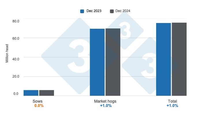 Graph 1: U.S. Swine Inventory as of December 1, 2024, annual variations. Prepared by 333 Latin America with data from USDA - NASS.
