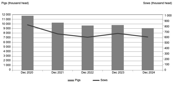 Pig and sow inventories in Poland from the end of 2020 to the end of 2024. Source: Central Statistical Office, Poland.
