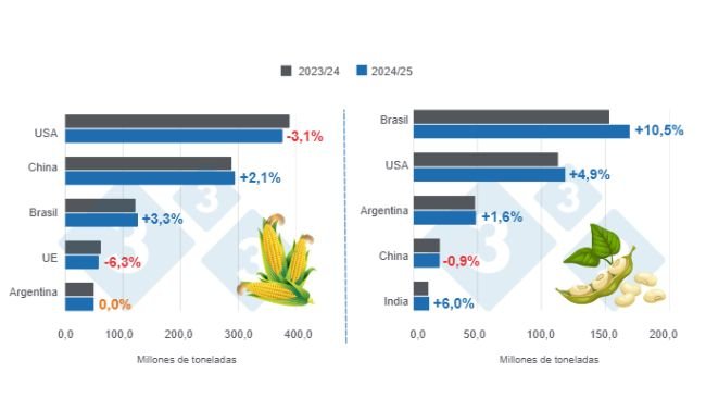 Projections for the world's main corn and soybean producers - 2024/25 season versus 2023/24 season - Last updated February 11, 2025. Prepared by 333 Latin America with data from FAS - USDA.