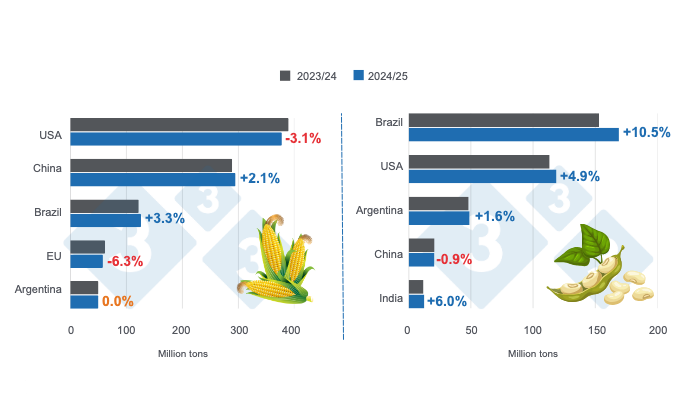 Projections for the world's main corn and soybean producers - 2024/25 season versus 2023/24 season - Last updated February 11, 2025. Prepared by 333 Latin America with data from FAS - USDA.
