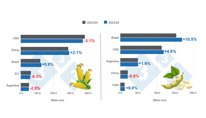 Crop projection for the main world corn and soybean producers - 2024/25 season versus 2023/24 - last update: March 11, 2025. Prepared by 333 Latin America with data from FAS - USDA.