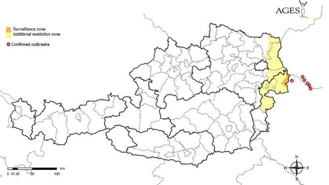 Foot-and-mouth disease outbreaks in Hungary and Slovakia confirmed between January 1 and March 26, 2025, and restriction and surveillance zones implemented in Austria. Source: AGES.