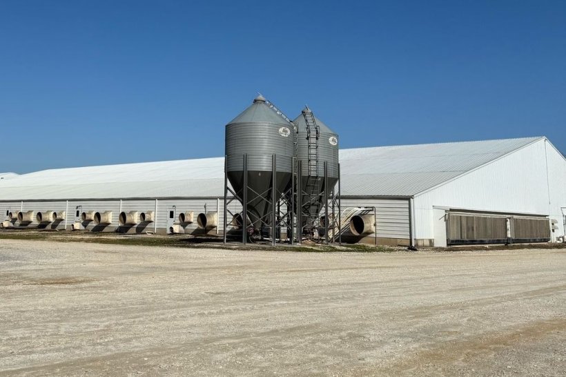 Figure 1.&nbsp;One of the barns at the unit we visited.
