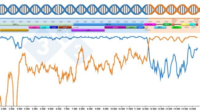 Figure 1: Representation of a recombination event generating a new virus. The region before and after the points where the two lines cross denote the portion of genomes received from the two parental viruses. Genome regions are shown at the top.
