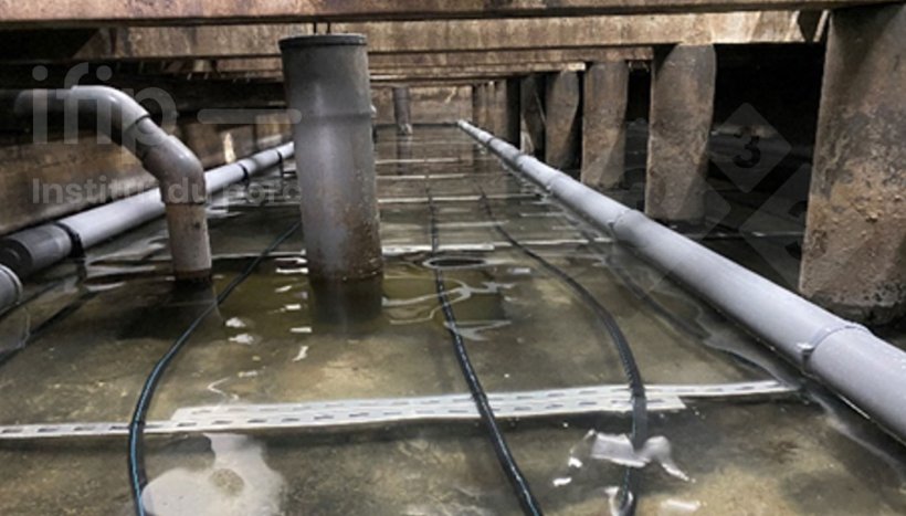 Floating slurry cooling system under experimental conditions. Source: IFIP.
