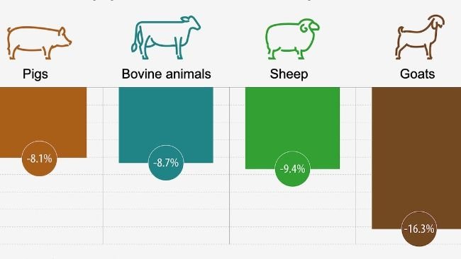 Change in EU livestock population. Source: Eurostat.