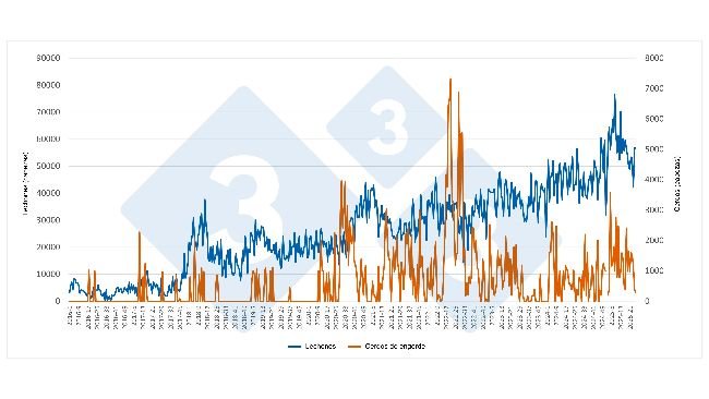 Weekly evolution of Spanish imports of piglets and fattening pigs from the Netherlands (January 2016 - June 2025). Source: Draft 333 based on RVO data.