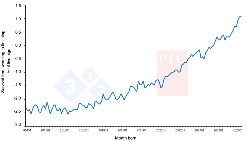 Genetic trend for survival in finishing pigs. The decrease in mortality in finishing pigs, measured as the increase in survival from weaning to slaughter, is one of the traits that benefits most from the data generated by the GNX program. The graph shows how survival potential has increased by 3.5% over the last 10 years.
