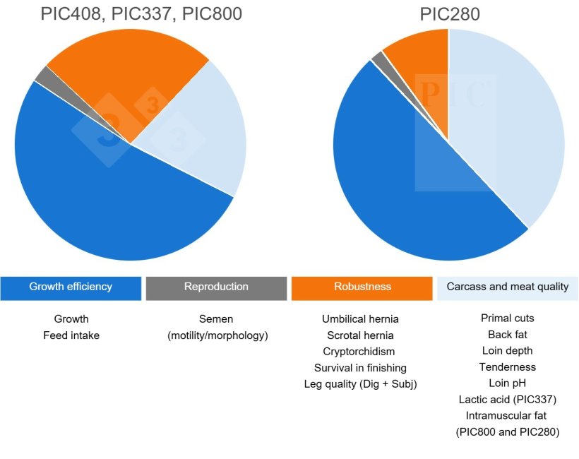 Selection Objectives in PIC Terminal Lines
