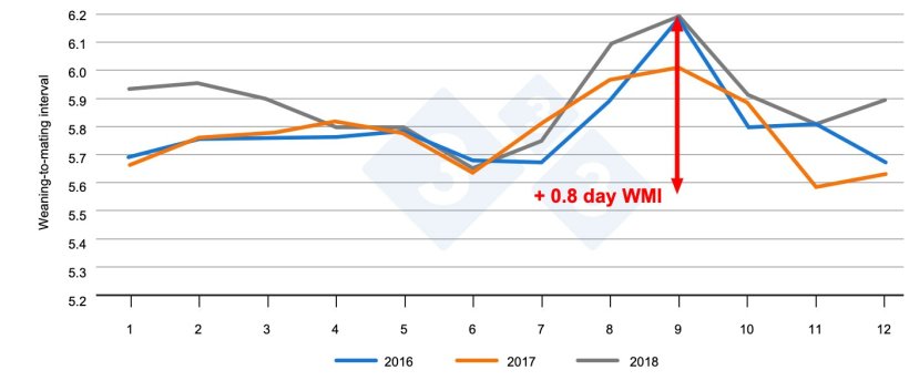 Figure 1. Weaning-to-mating interval by month of the year. Source: PigChamp Pro Europe
