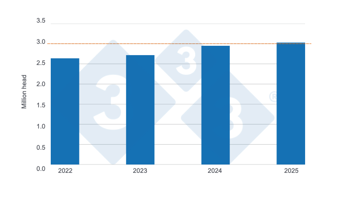 Colombian pig&nbsp;slaughter in the first half of the last four years. Prepared by 333 Latin America using data from DANE.
