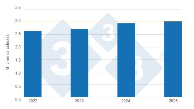 Colombian pig slaughter in the first half of the last four years. Prepared by 333 Latin America using data from DANE.