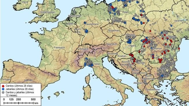 Figure 1. Outbreaks of African swine fever (genotype II) in Albania, the Baltic States, Bosnia and Herzegovina, Bulgaria, Germany, Greece, Italy, Kosovo, Croatia, Moldova, Montenegro, North Macedonia, Poland, Romania, Sweden, Serbia, Slovakia, Czech Republic, Ukraine, and Hungary (August 20, 2024, to August 20, 2025). Data source: ADIS, TSN (as of August 20, 2025, 8:40 a.m.)