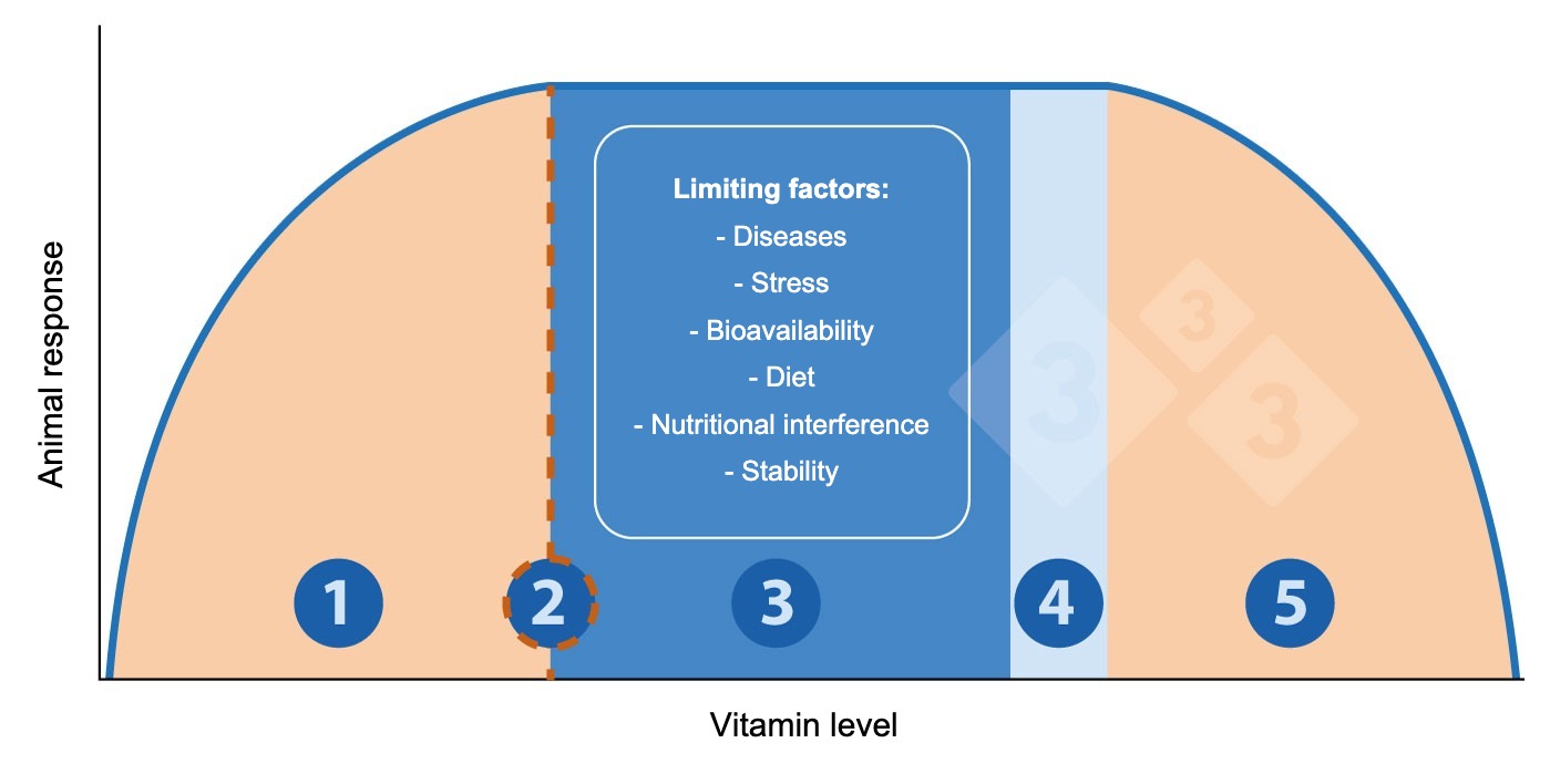 Figure 1. Relationship between vitamin levels and animal response.
