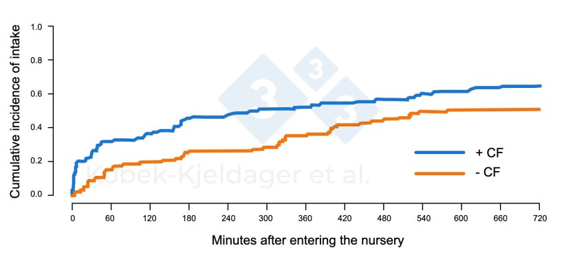 Figure 2. Cumulative incidence of&nbsp;intake in piglets after entering the nursery facilities, depending on whether they were offered creep feed (+ CF) or not (- CF) during the lactation period. Figure adapted from Kobek-Kjeldager et al., 2021.
