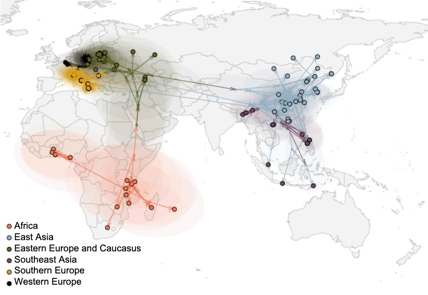 Figure 2. Global spread of the ASF virus (Rossi et al. bioRxiv 2025).
