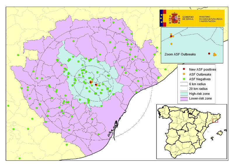 Location of the 9 outbreaks in wild boars and the negative dead boars found in Catalonia (Source: MAPA).
