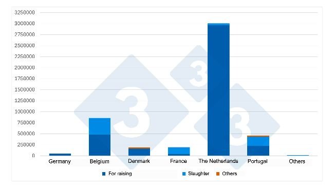 Graph 2. Suppliers of live pigs to Spain by animal category (2025). Source: 333 based on MAPA data.