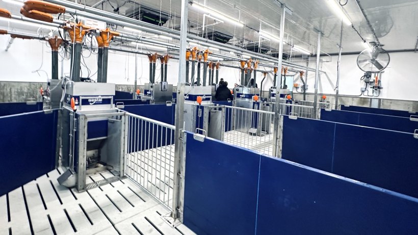 Photo 2. Evolution of precision individual feeders with individually adjusted feeding.