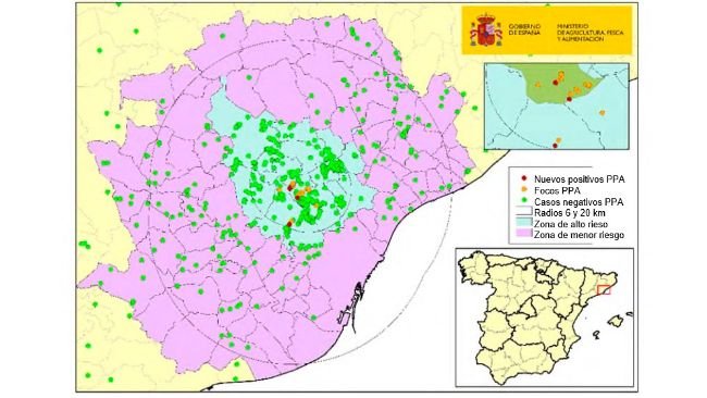 Location of the 20 outbreaks in wild boars and captured or found dead negative boars in Catalonia (Source: MAPA).